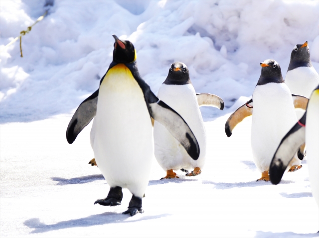 11月22日(土)の混雑予測