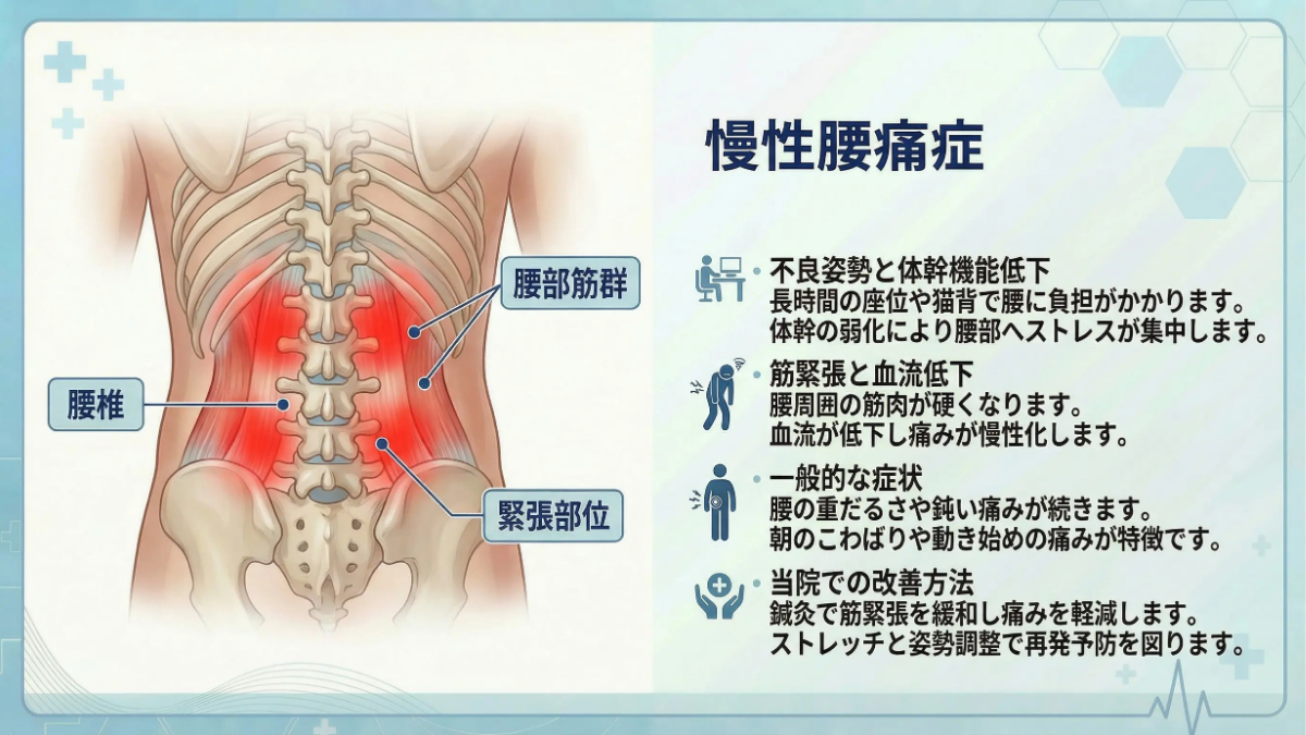 慢性腰痛の症状イメージ